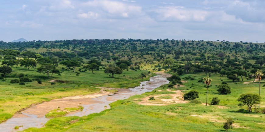 5 Natuur in Tarangire