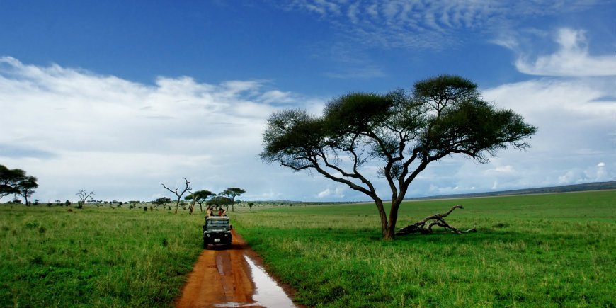 tarangire safarireis