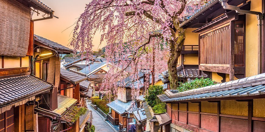 Kersenbloesem in de wijk Higashiyama in Kyoto