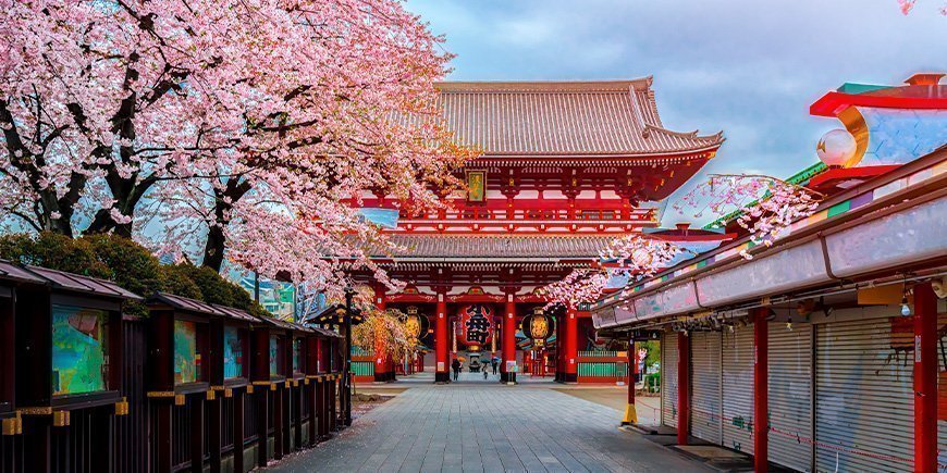 Sakura bij de Sensoji-ji tempel in Tokio