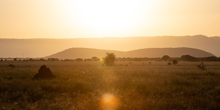 Zonsondergang in het Tarangire National Park in Tanzania