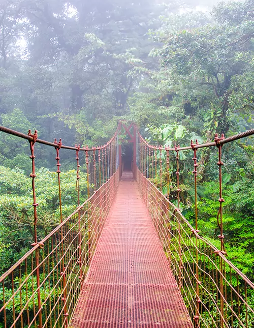 Een vleugje Costa Rica