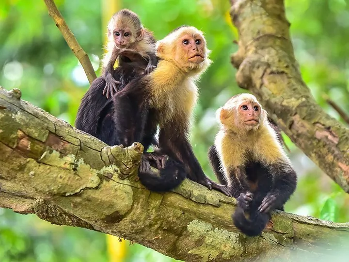 Een vleugje Costa Rica