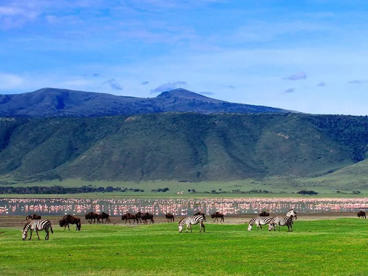 Ontdek de Ngorongoro-krater