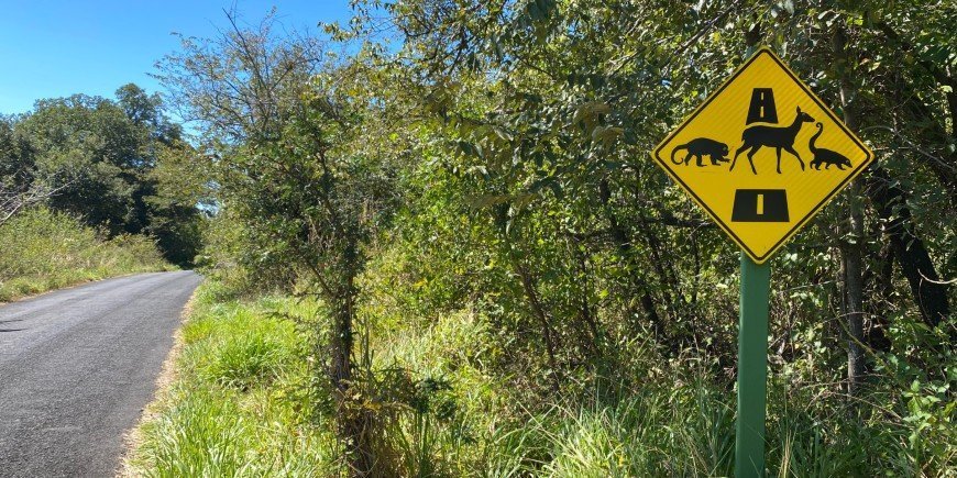 Verkeersbord met overstekende dieren in Costa Rica