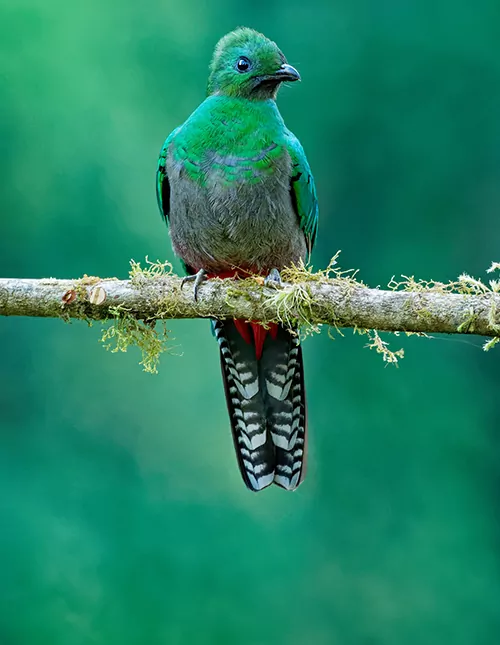 Costa Rica met Corcovado Nationaal Park