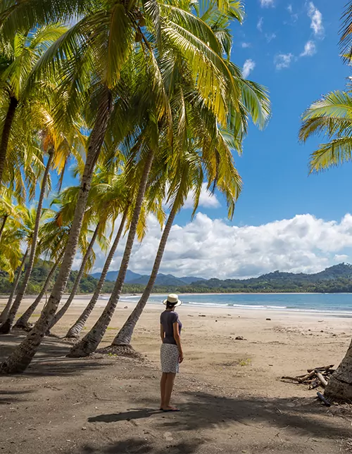 Hoogtepunten van Costa Rica met strandvakantie bij Playa Sámara