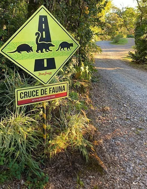 Self-drive – Hoogtepunten van Costa Rica met strandvakantie in Manuel Antonio