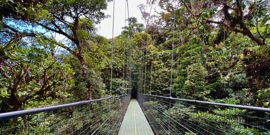 Hangbrug in Costa Rica