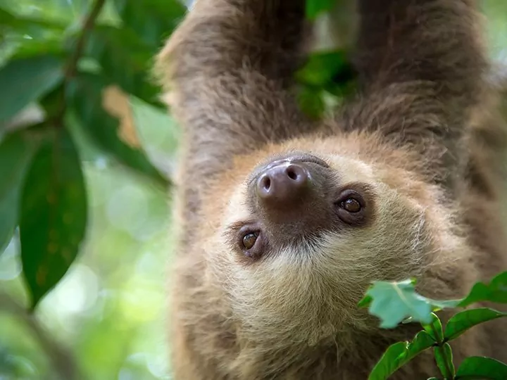 Het beste van Costa Rica