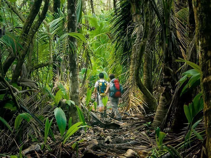 Costa Rica met Corcovado Nationaal Park