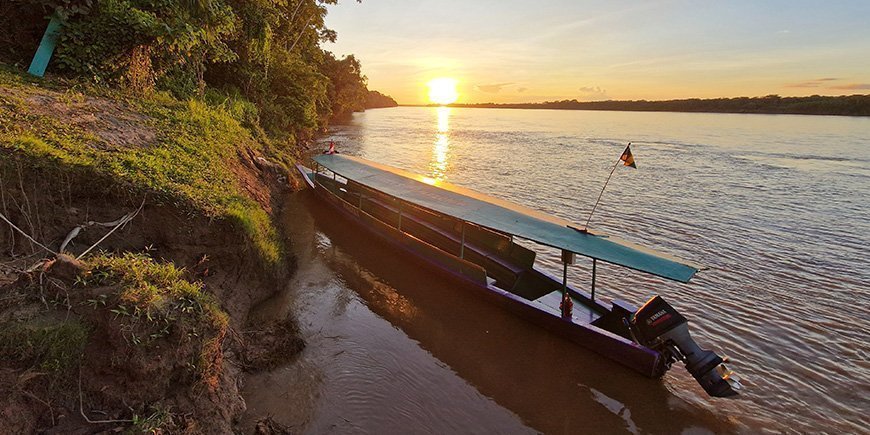 Boot op rivier in het Amazone regenwoud