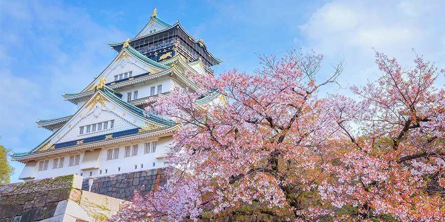 Kersenbloesem bij het kasteel van Osaka in Japan.