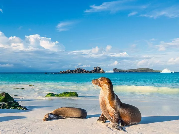 Ecuador/Galapagos