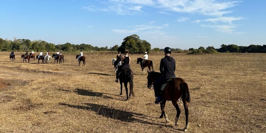 Paardrijden in Pantanal in Brazilië