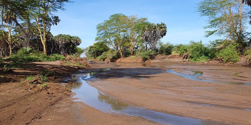 Tsavo west in maart