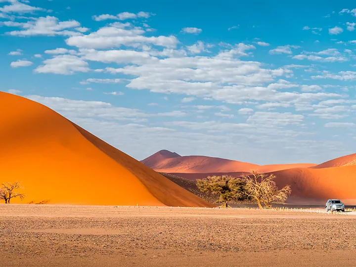 Namibië, Kaapstad & Kruger-safari