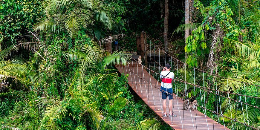 Man op brug in Khao Yai Nationaal Park