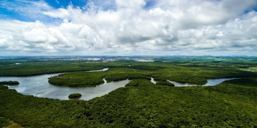 Amazonas