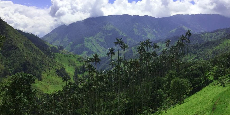 Colombia