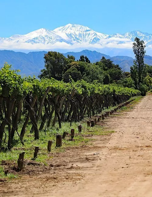 Chili & Argentinië: Andes, Wijn & Iguazú