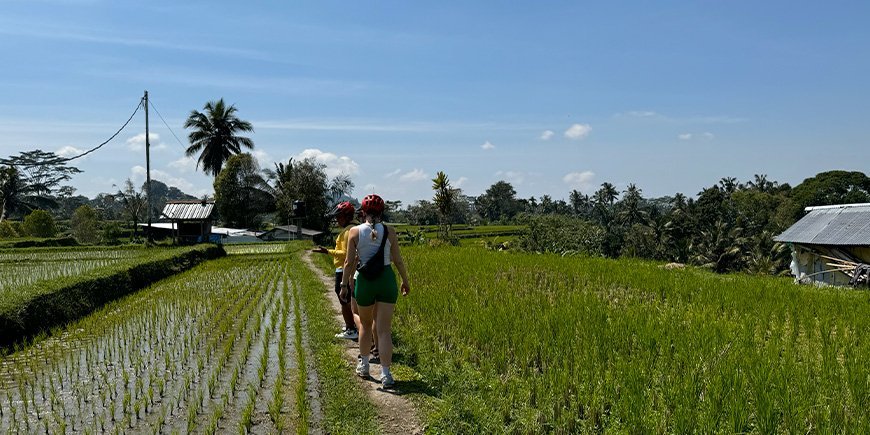 Wandelen in rijstvelden op Bali