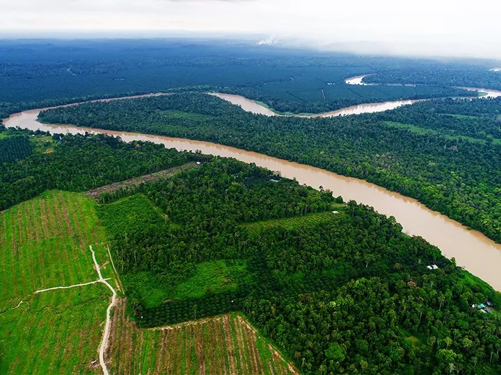 Hoogtepunten van Borneo