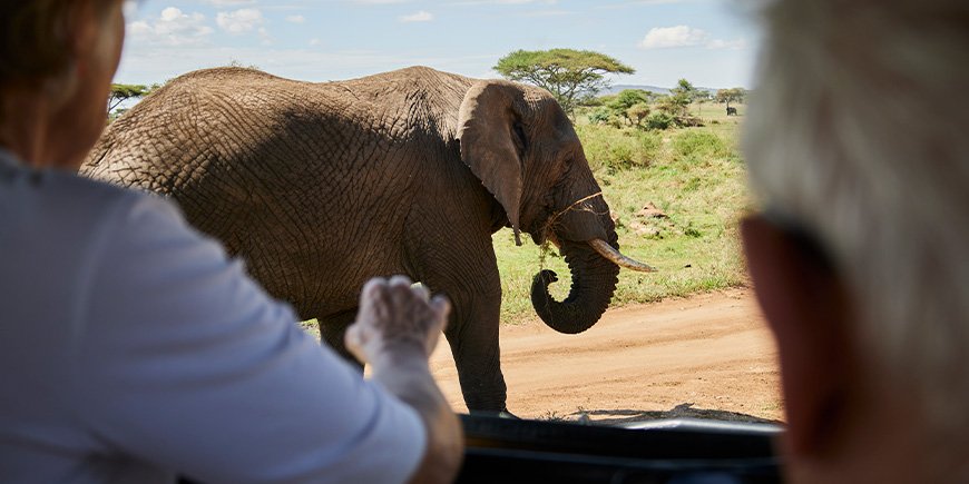 Olifant vanuit de auto op safari in Tanzania