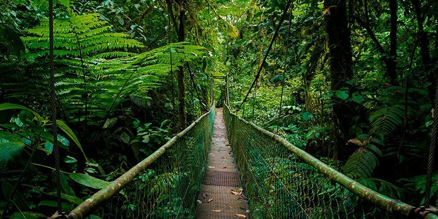 Hangbrug in Monteverde, Costa Rica