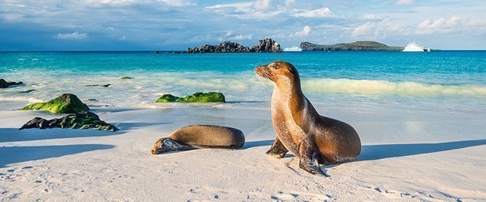 Ecuador/Galapagos